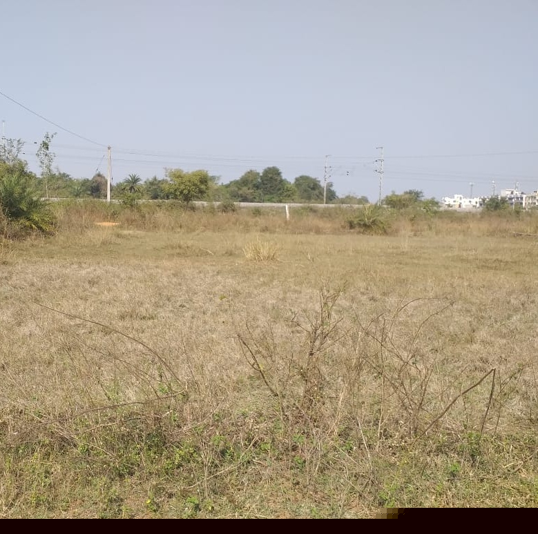 Union Bank of India Auctions for Residential property in Ganjam, Odisha