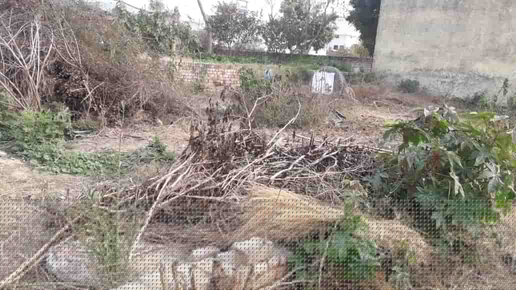 Union Bank of India Auctions for Residential property in Sonipat, Haryana