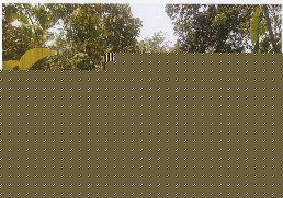 Union Bank of India Auctions for Residential property in Pathanamthitta, Kerala