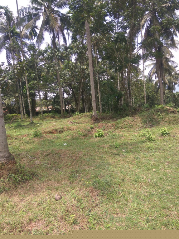 Union Bank of India Auctions for Residential property in Palakkad, Kerala image 3 of 3 in CHERPULASSERY, Palakkad | Union Bank of India auction property