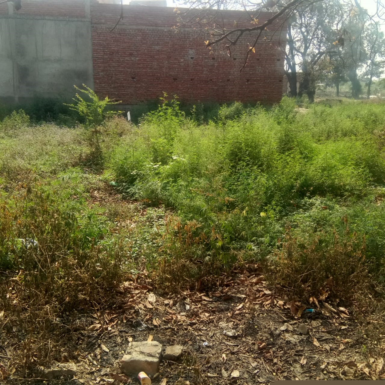 Union Bank of India Auctions for Residential property in Barbanki, Madhya Pradesh