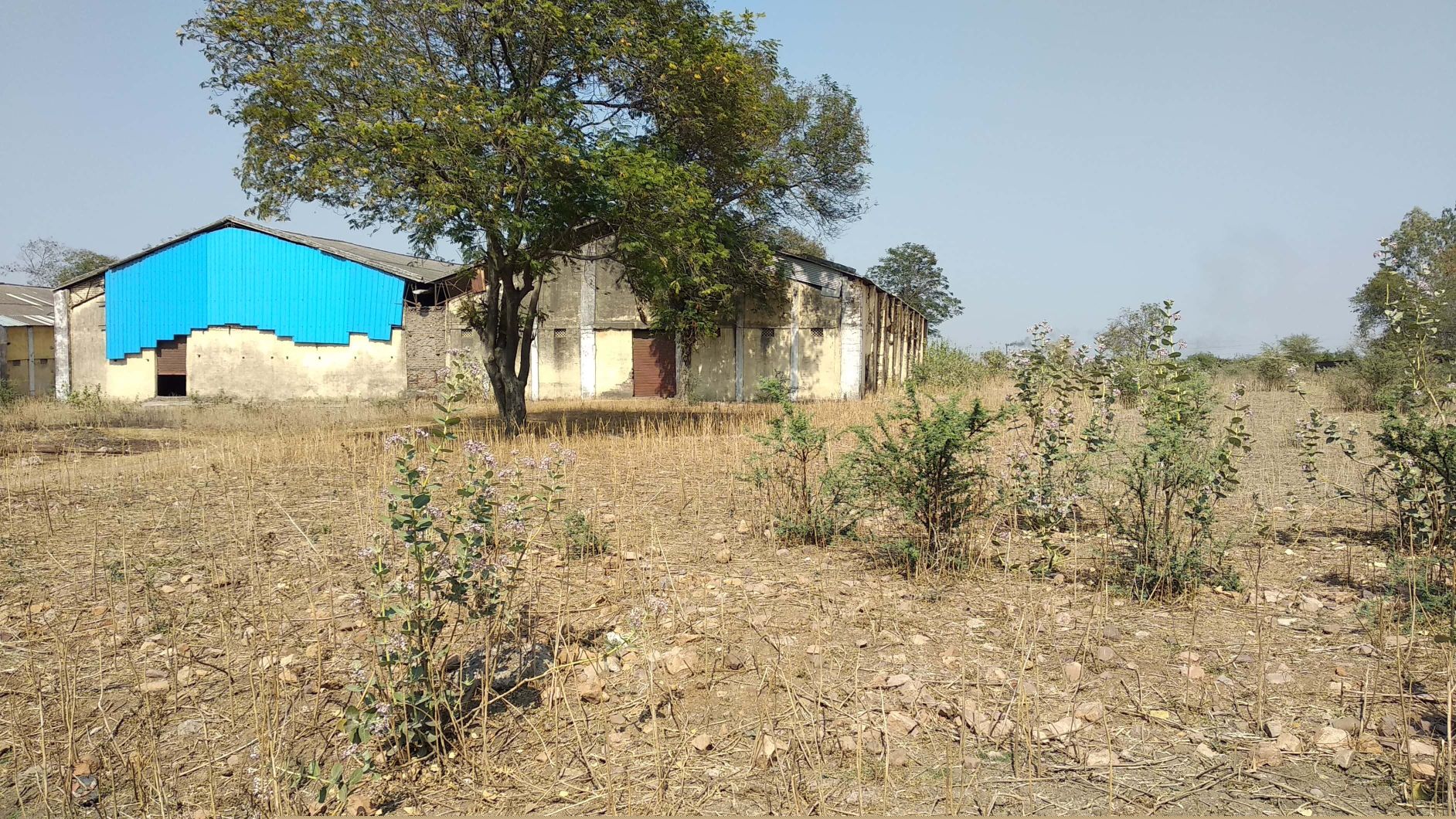 Union Bank of India Auctions for Industrial property in Hoshangabad, Madhya Pradesh