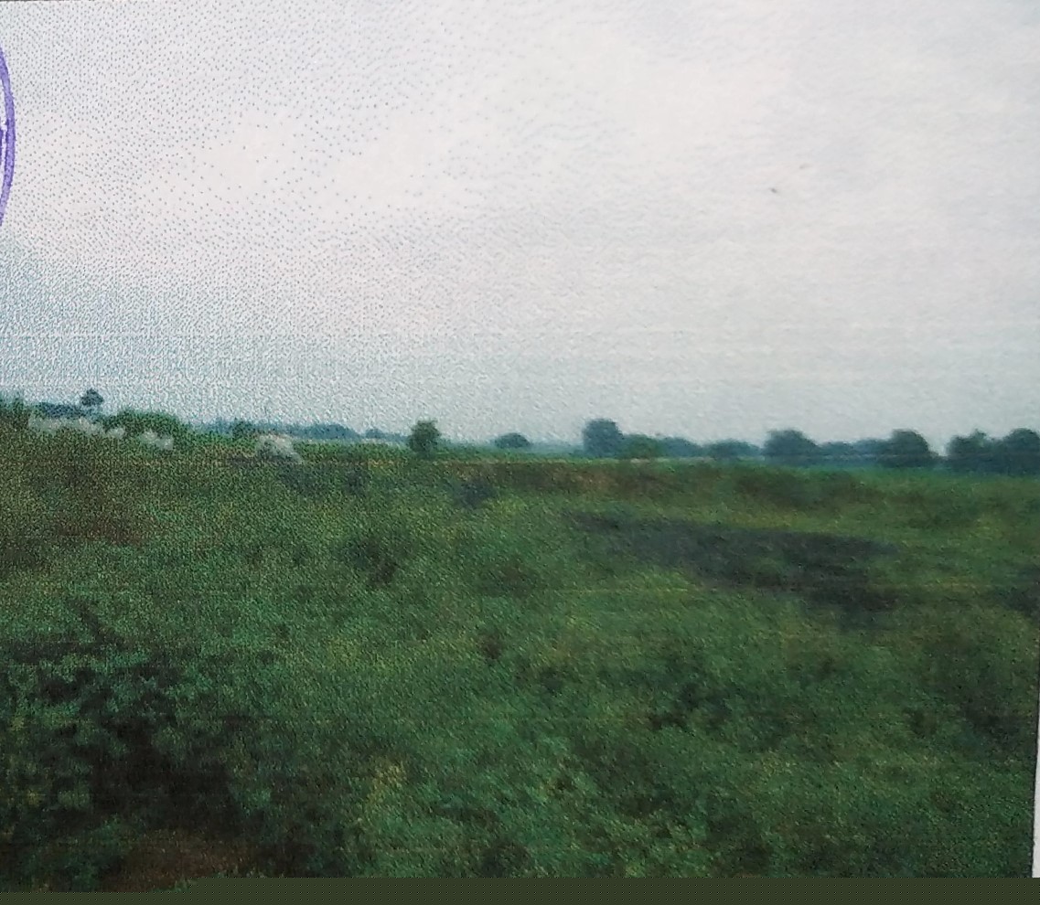 Union Bank of India Auctions for Industrial property in Maharajganj, Uttar Pradesh