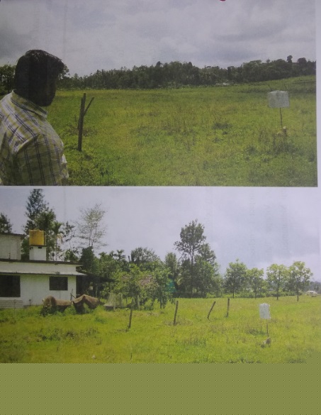 Union Bank of India Auctions for Commercial property in Kodagu, Karnataka