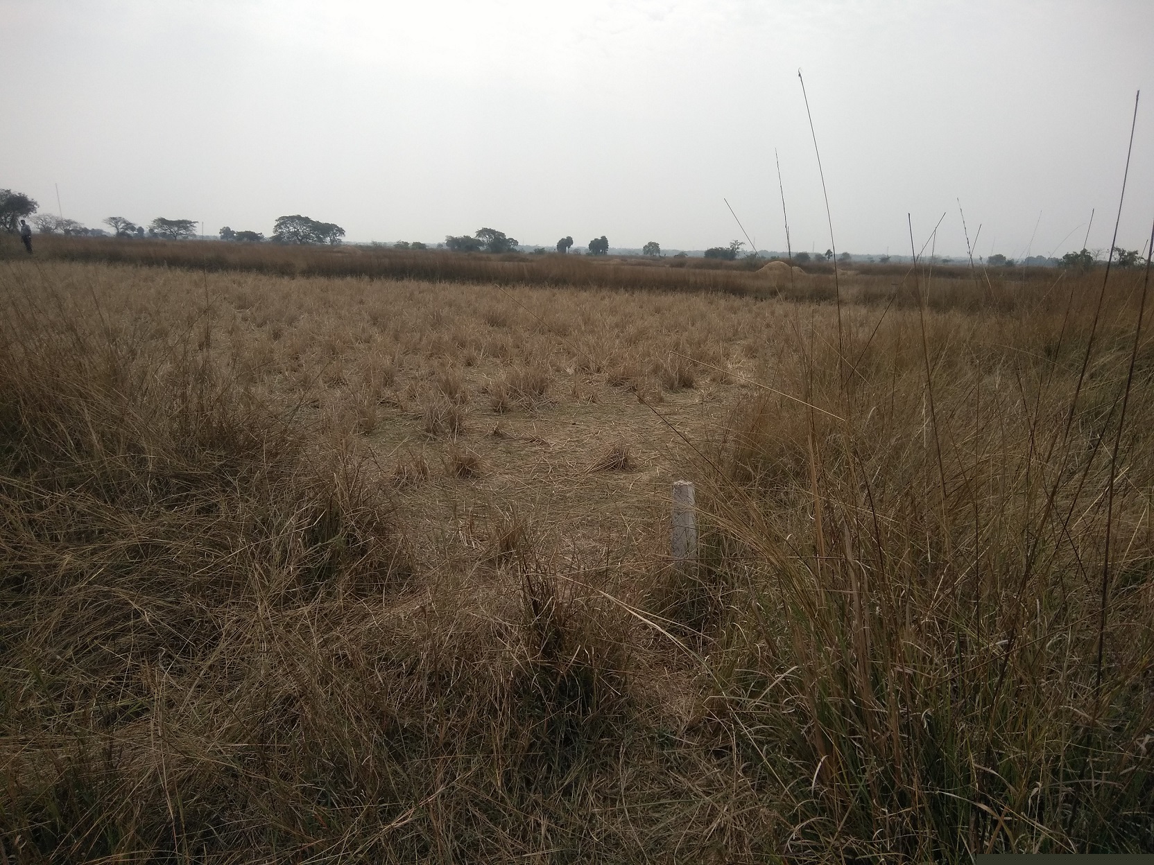 Union Bank of India Auctions for Residential property in Khordha, Odisha