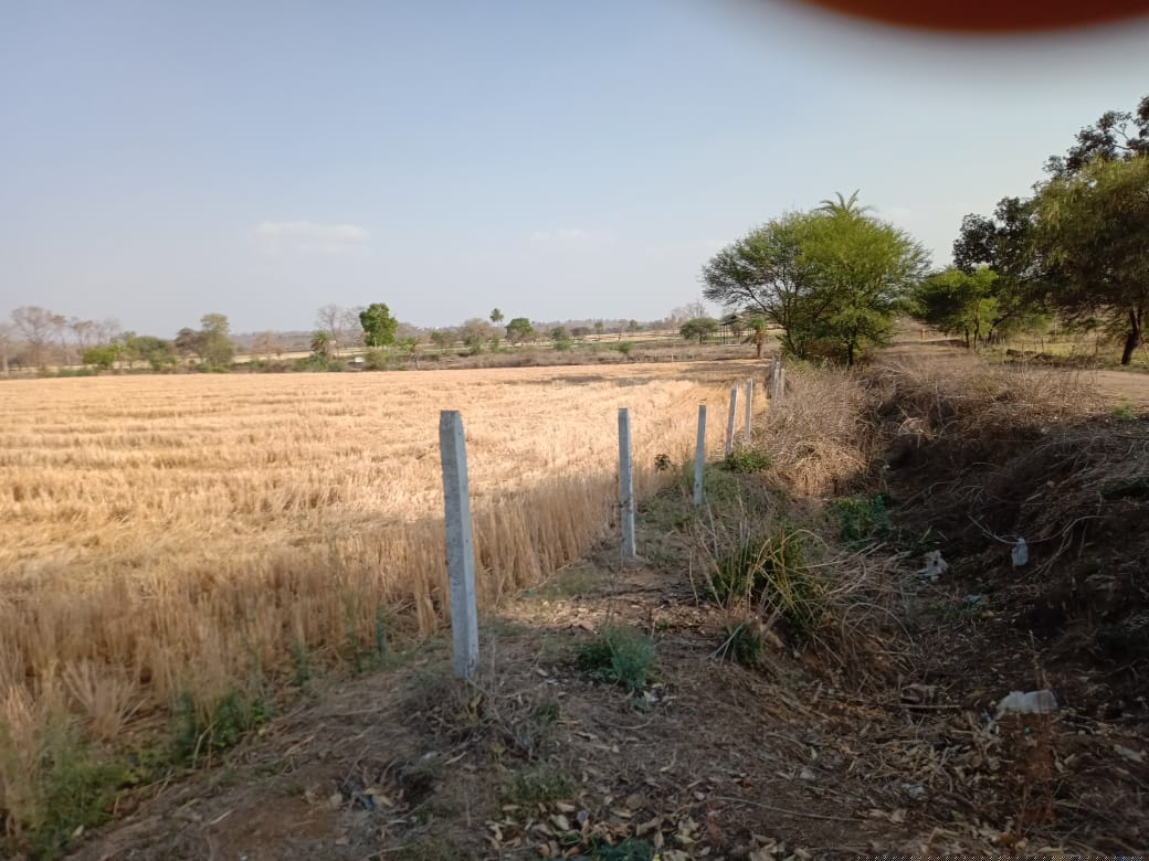 Union Bank of India Auctions for Residential property in Chhindwara, Madhya Pradesh
