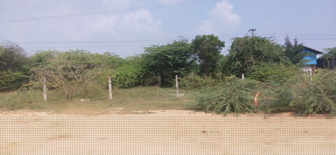 Union Bank of India Auctions for Commercial property in Pondicherry, Tamil Nadu