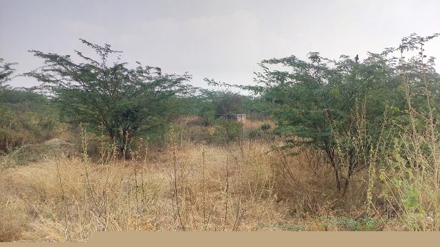 Union Bank of India Auctions for Industrial property in Coimbatore, Tamil Nadu