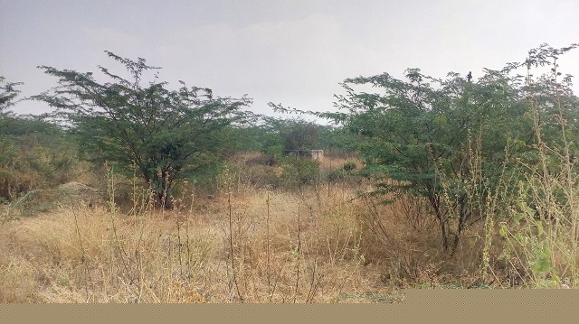 Union Bank of India Auctions for Industrial property in Coimbatore, Tamil Nadu