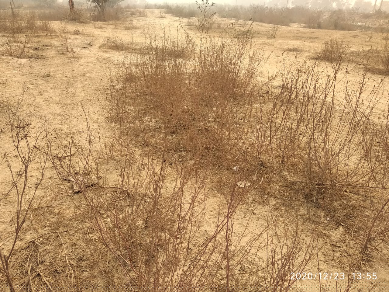State Bank of India Auctions for Commercial property in Faridabad, Haryana image 2 of 3 in Village Kheri Kalan, Tikka Wali, Sector-89, Faridabad | State Bank of India auction property
