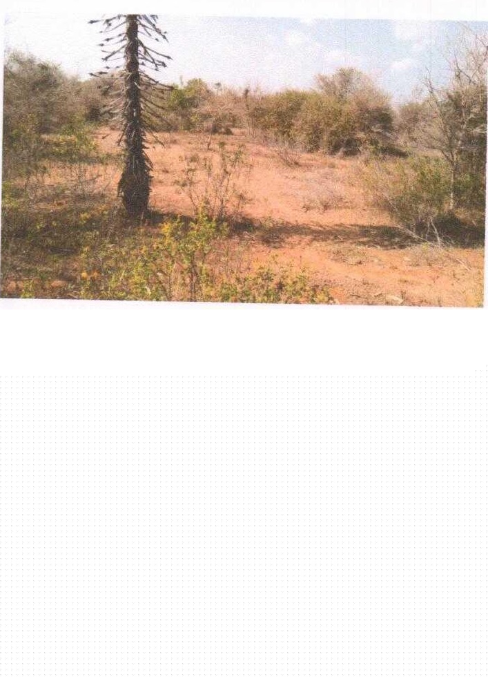 State Bank of India Auctions for Residential property in Thanjavur, Tamil Nadu image 4 of 5 in BOOTHALUR, Thanjavur | State Bank of India auction property