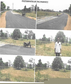 Punjab National Bank Auctions for Residential property in Bargarh, Odisha