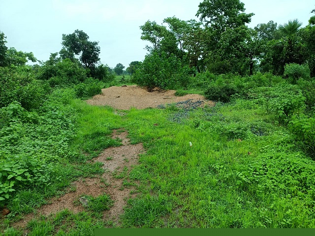 Punjab National Bank Auctions for Residential property in Bargarh, Odisha image 2 of 3 in CHHALUKULUNDA, Bargarh | Punjab National Bank auction property