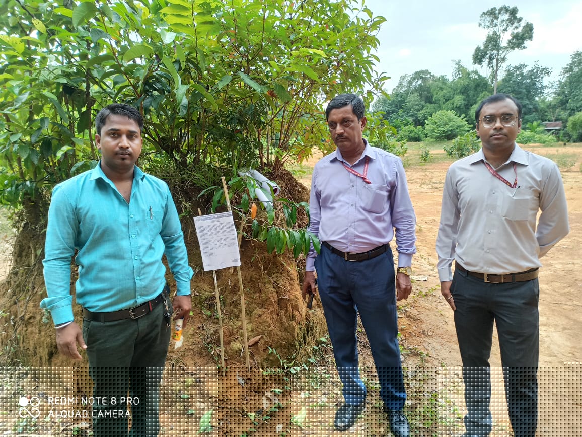 Punjab National Bank Auctions for Residential property in South Tripura, Tripura