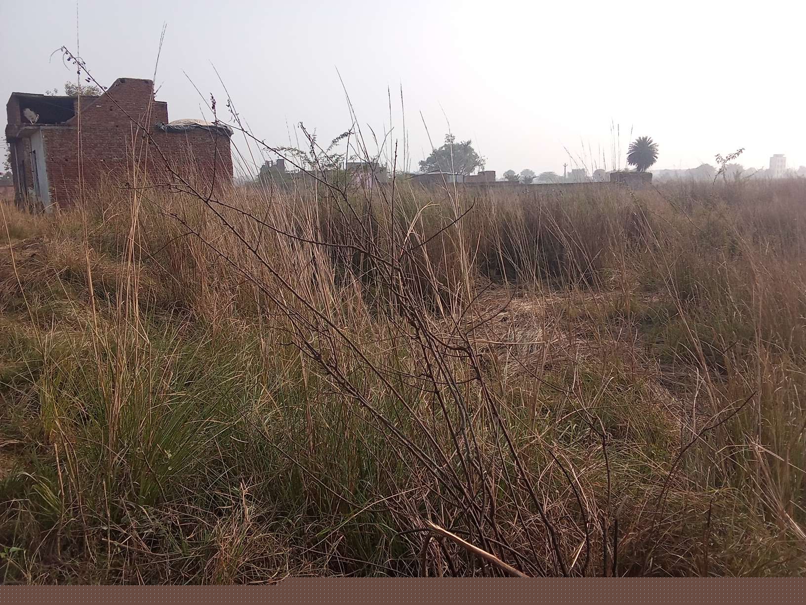 Punjab National Bank Auctions for Residential property in Etah, Uttar Pradesh image 3 of 6 in Bhagipur, Etah | Punjab National Bank auction property