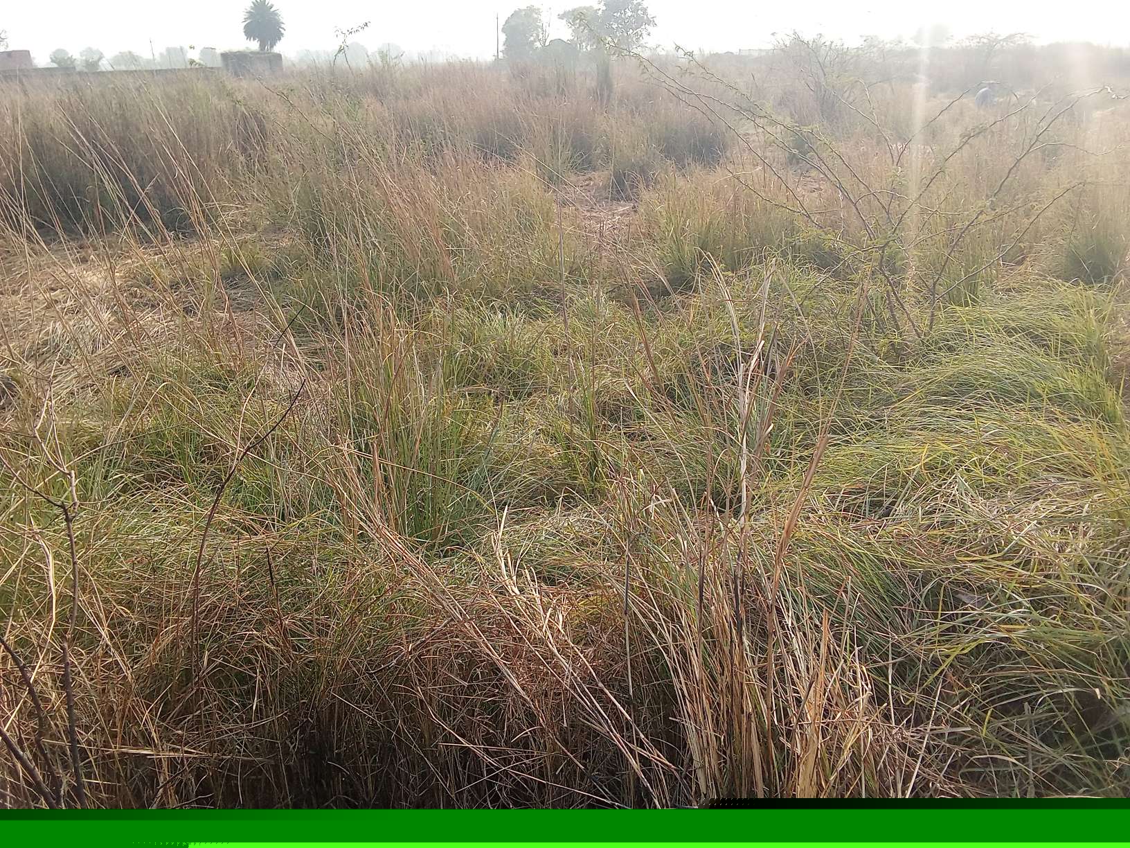 Punjab National Bank Auctions for Residential property in Etah, Uttar Pradesh image 6 of 6 in Bhagipur, Etah | Punjab National Bank auction property