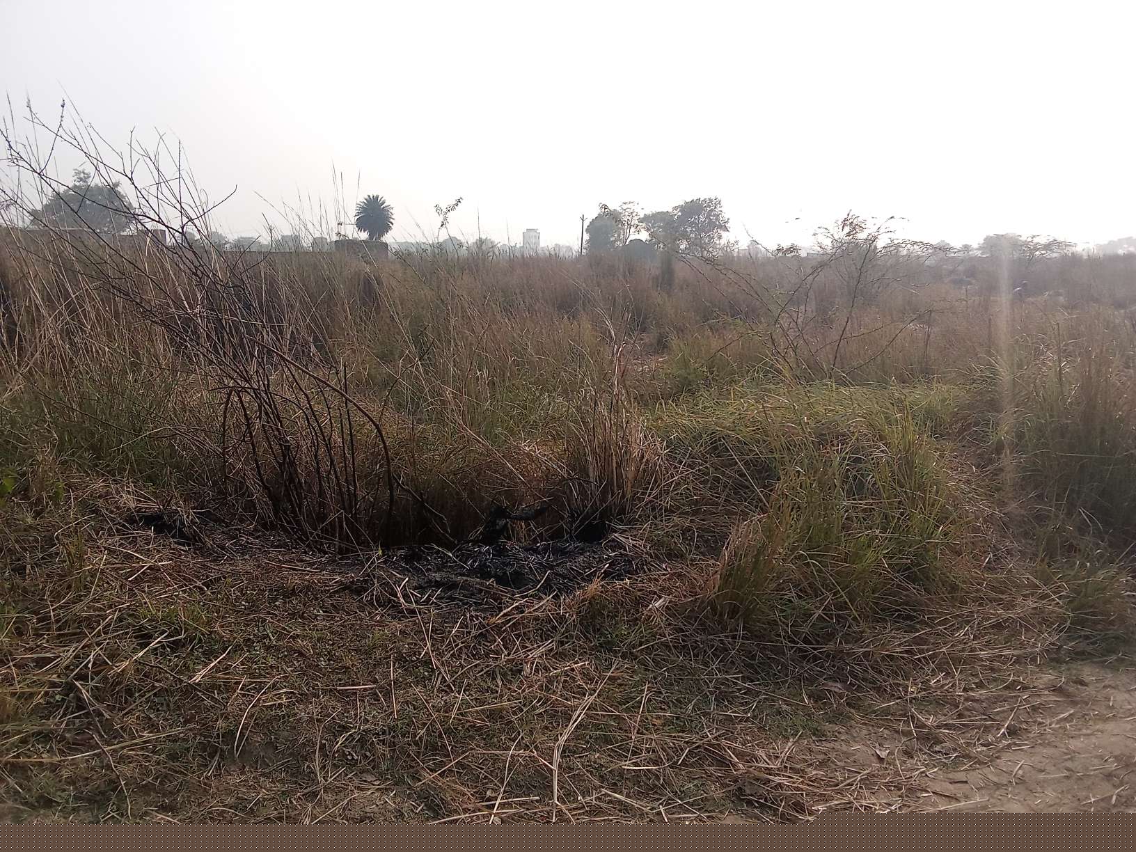 Punjab National Bank Auctions for Residential property in Etah, Uttar Pradesh image 3 of 6 in Etah, Etah | Punjab National Bank auction property