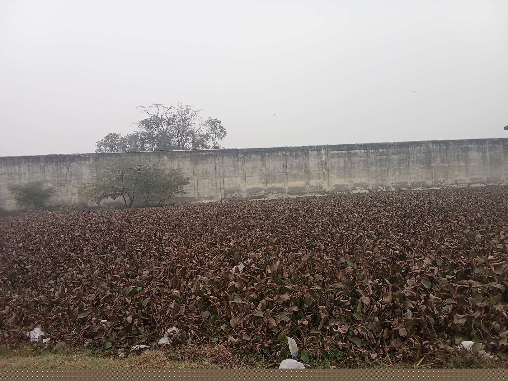 Punjab National Bank Auctions for Residential property in Etah, Uttar Pradesh image 5 of 5 in Etah, Etah | Punjab National Bank auction property