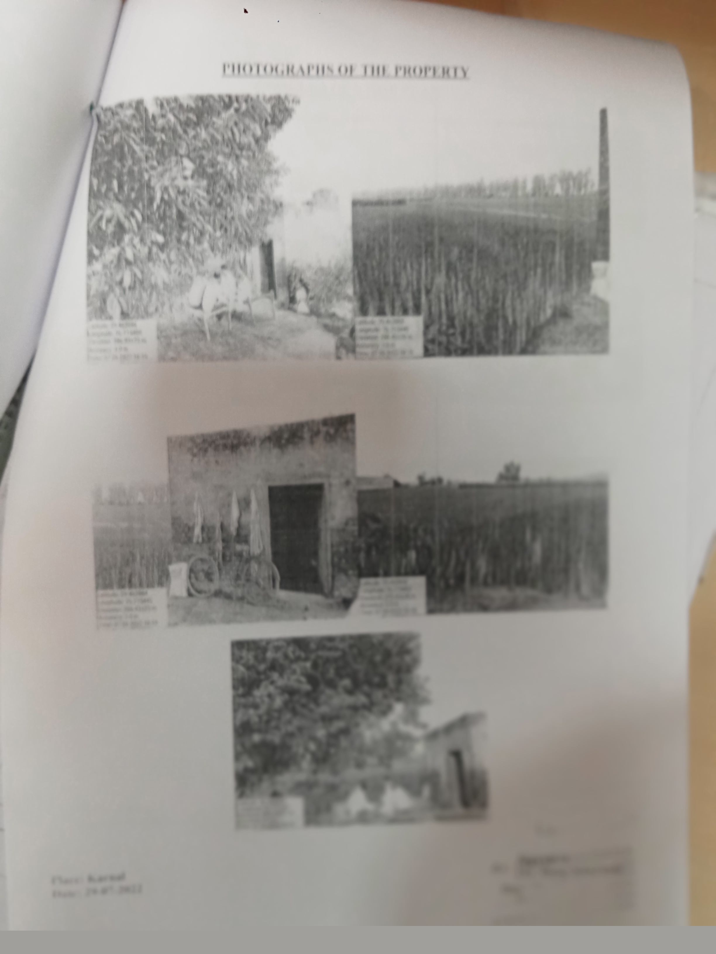 Punjab National Bank Auctions for Agricultural property in Jind, Haryana