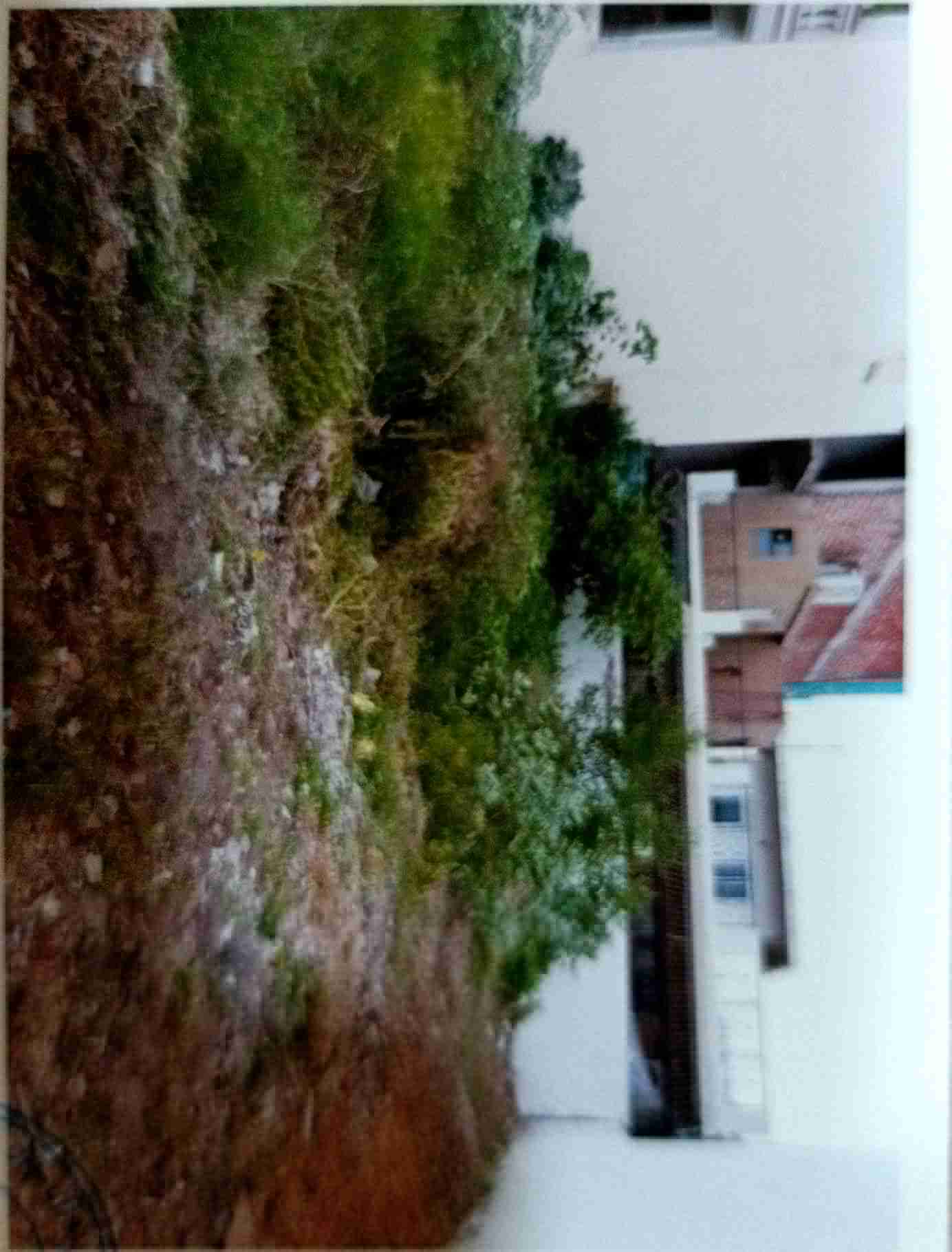 Punjab National Bank Auctions for Residential property in Gurgaon, Haryana