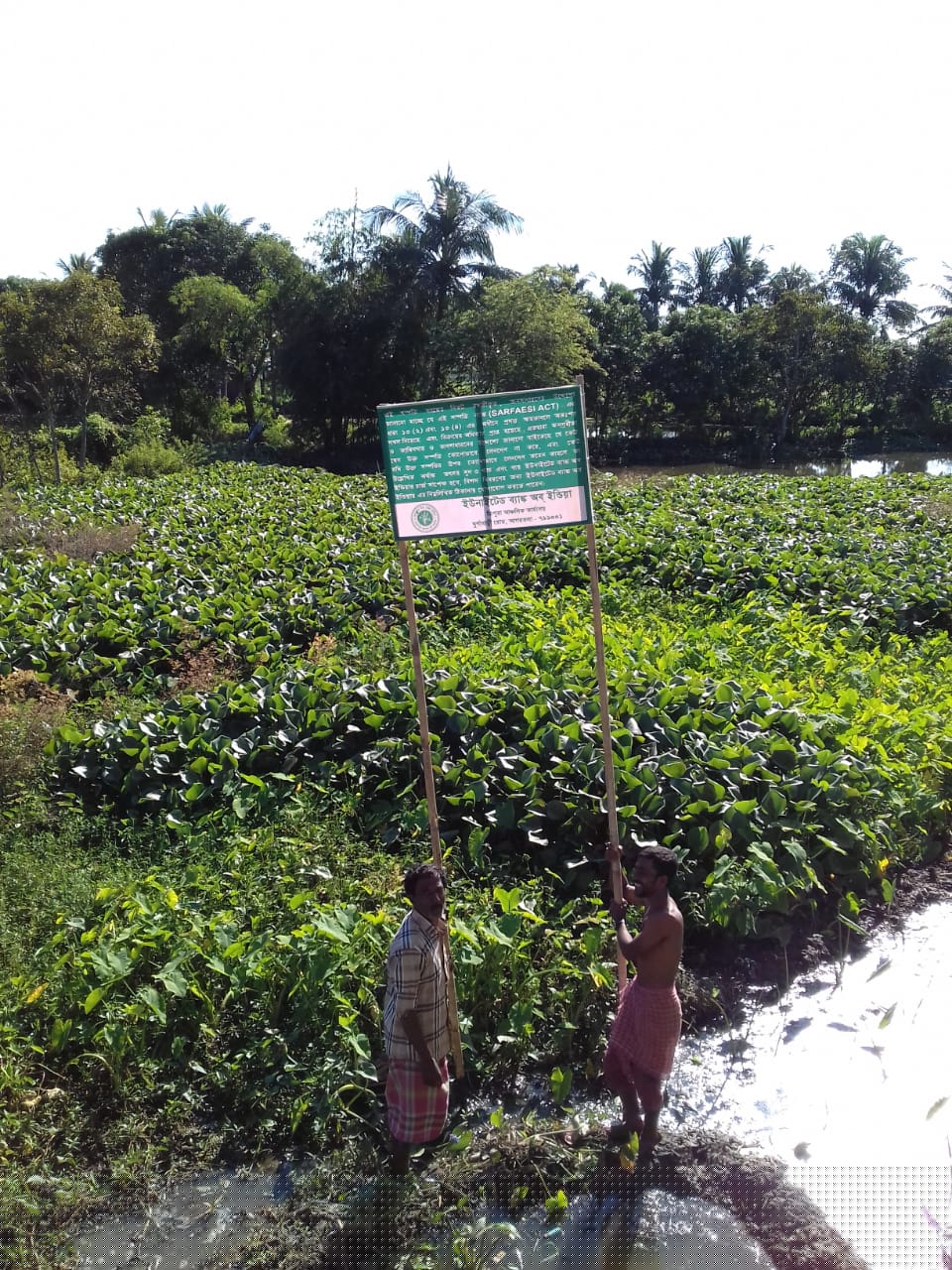Punjab National Bank Auctions for Residential property in Gomati, Tripura image 2 of 3 in Udaipur, Gomati | Punjab National Bank auction property
