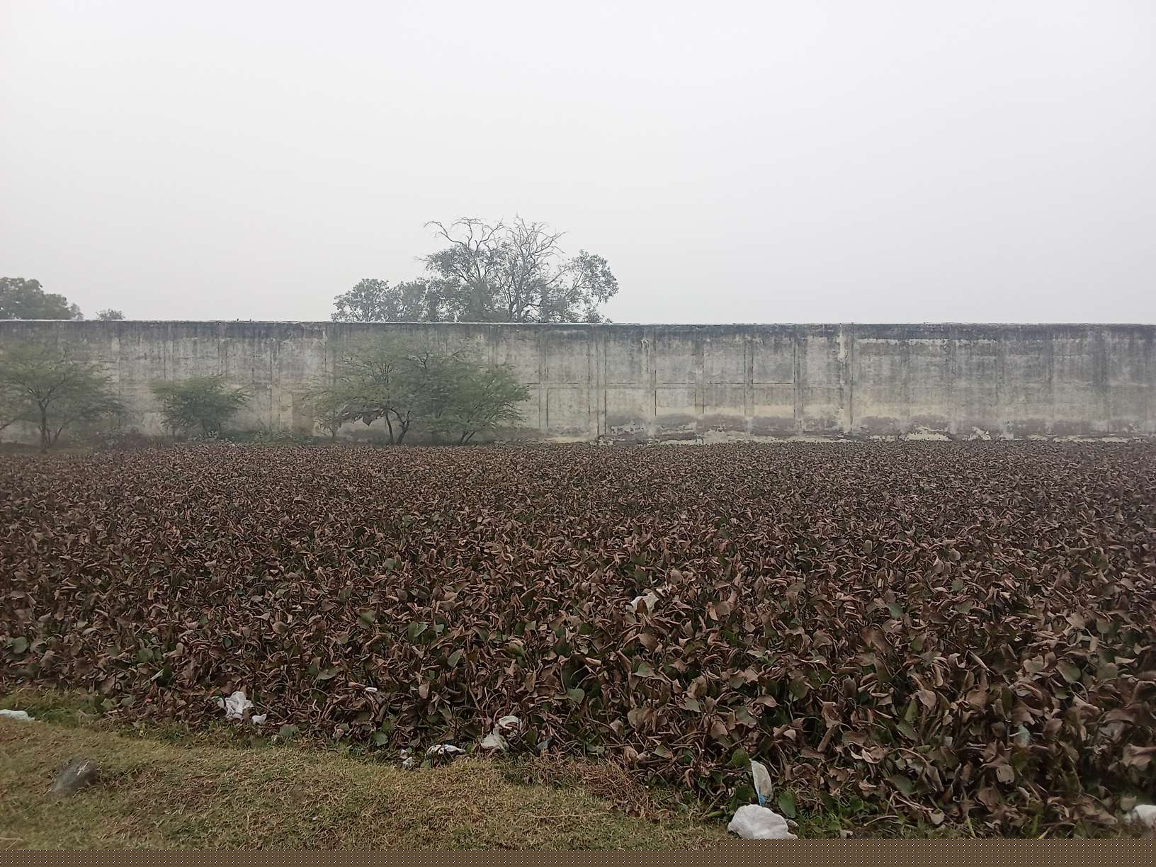Punjab National Bank Auctions for Residential property in Etah, Uttar Pradesh image 2 of 5 in Etah, Etah | Punjab National Bank auction property