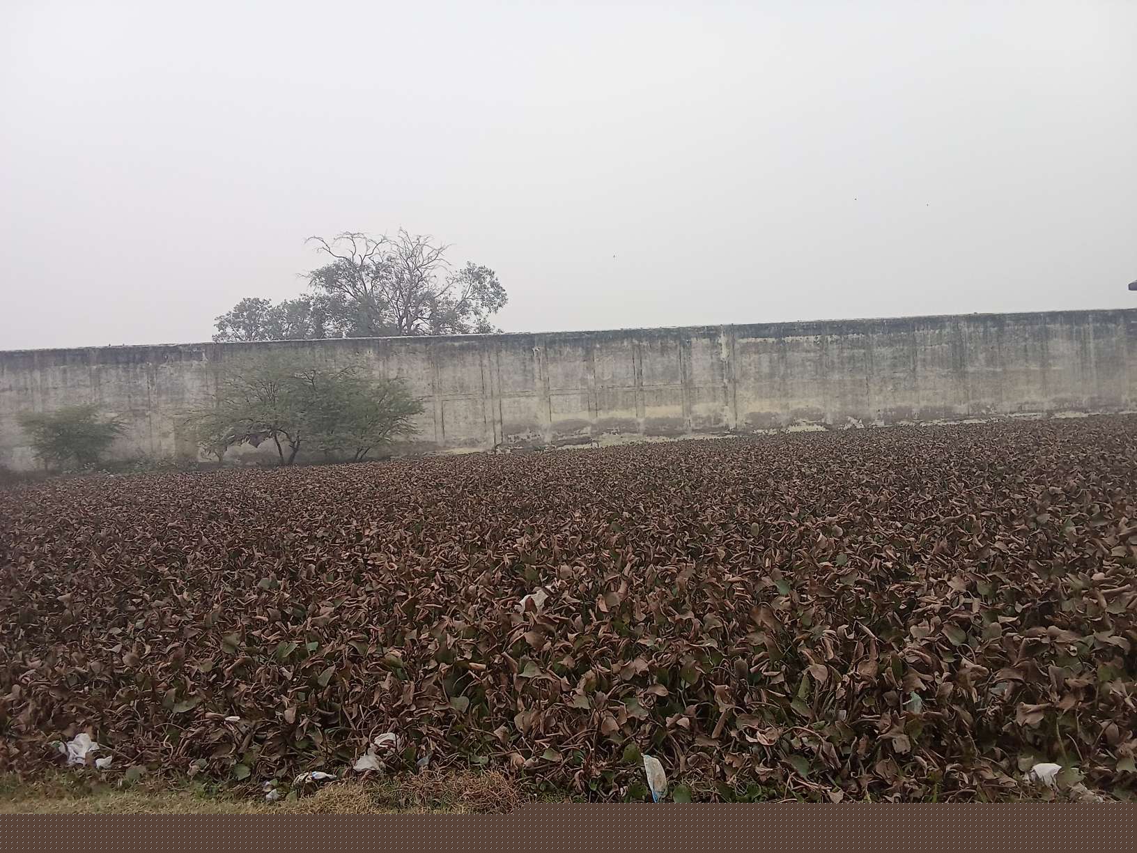 Punjab National Bank Auctions for Residential property in Etah, Uttar Pradesh image 3 of 5 in Etah, Etah | Punjab National Bank auction property