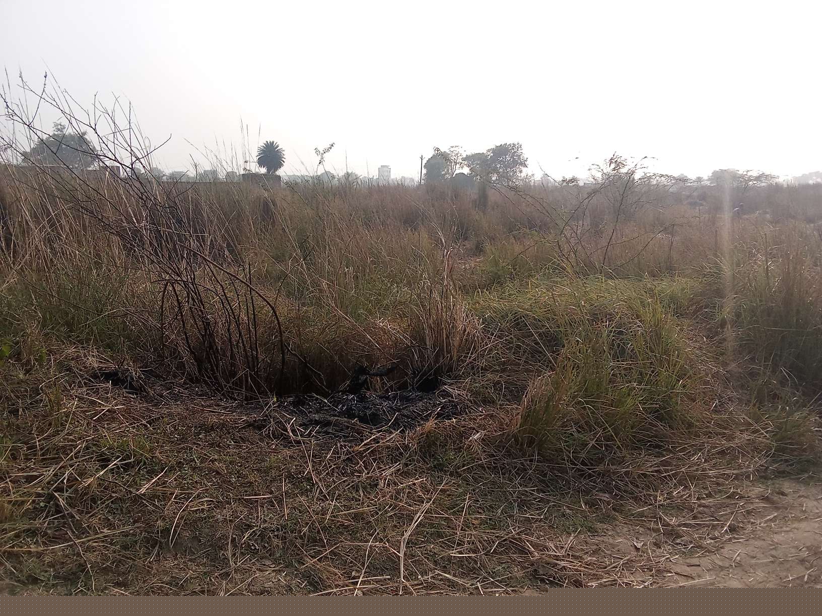 Punjab National Bank Auctions for Residential property in Etah, Uttar Pradesh image 5 of 6 in Etah, Etah | Punjab National Bank auction property