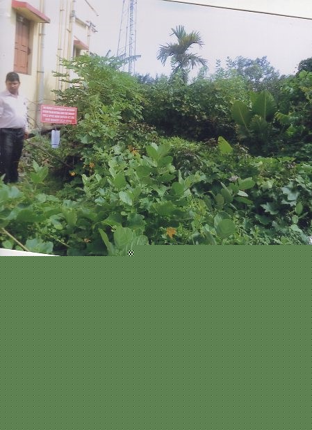 Punjab National Bank Auctions for Residential property in Jagatsinghpur, Odisha image 2 of 2 in NUABAZAR ,PARADEEP, Jagatsinghpur | Punjab National Bank auction property