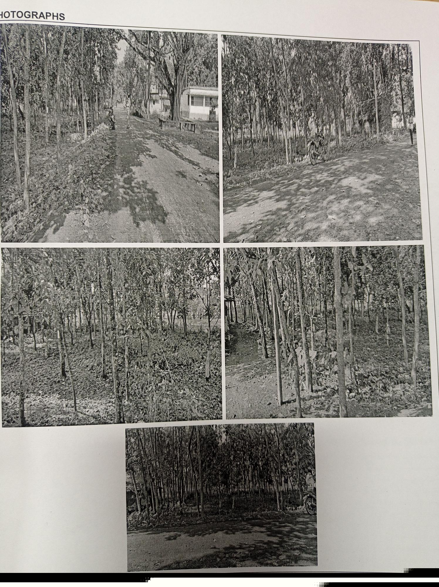 Punjab National Bank Auctions for Residential property in North Dinajpur, West Bengal