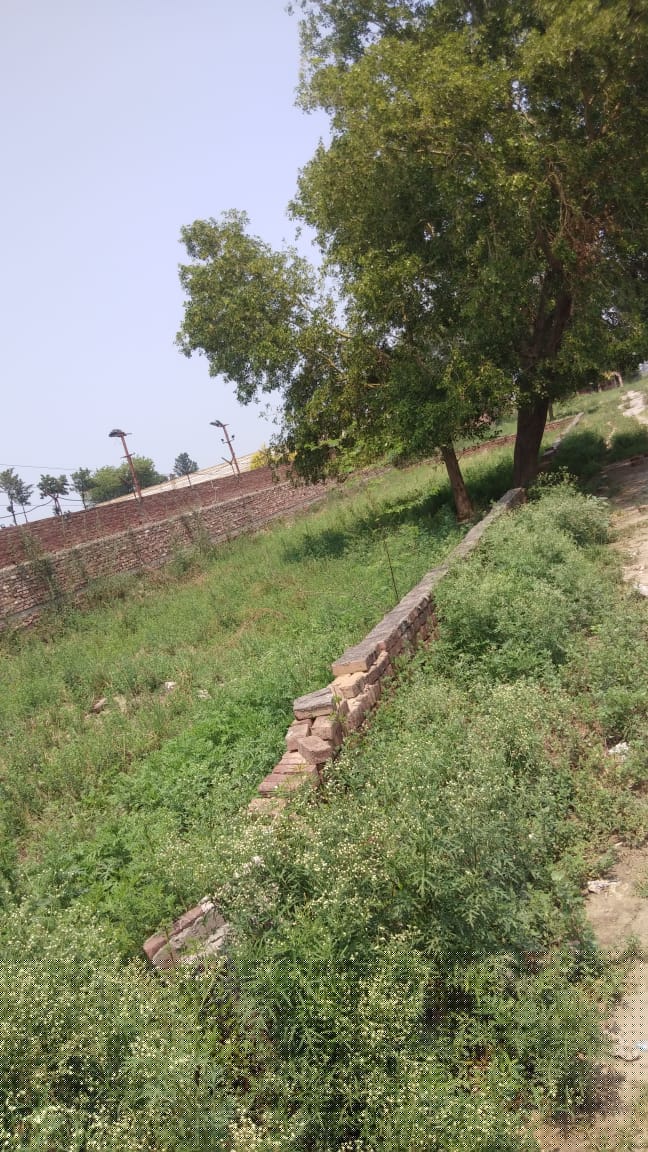 Punjab National Bank Auctions for Commercial property in Sonipat, Haryana