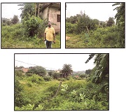 Punjab National Bank Auctions for Residential property in Sundargarh, Odisha
