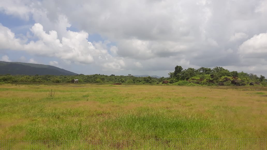 Punjab National Bank Auctions for Industrial property in Raigarh, Chhattisgarh