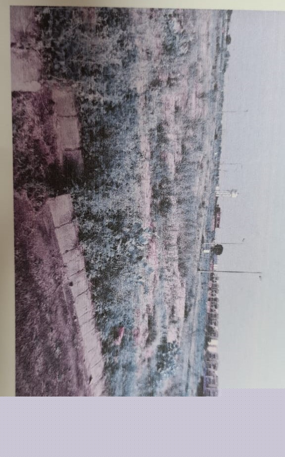 Punjab National Bank Auctions for Commercial property in SAS Nagar, Punjab image 2 of 2 in Jashan City Harlalpur, Kharar, SAS Nagar | Punjab National Bank auction property