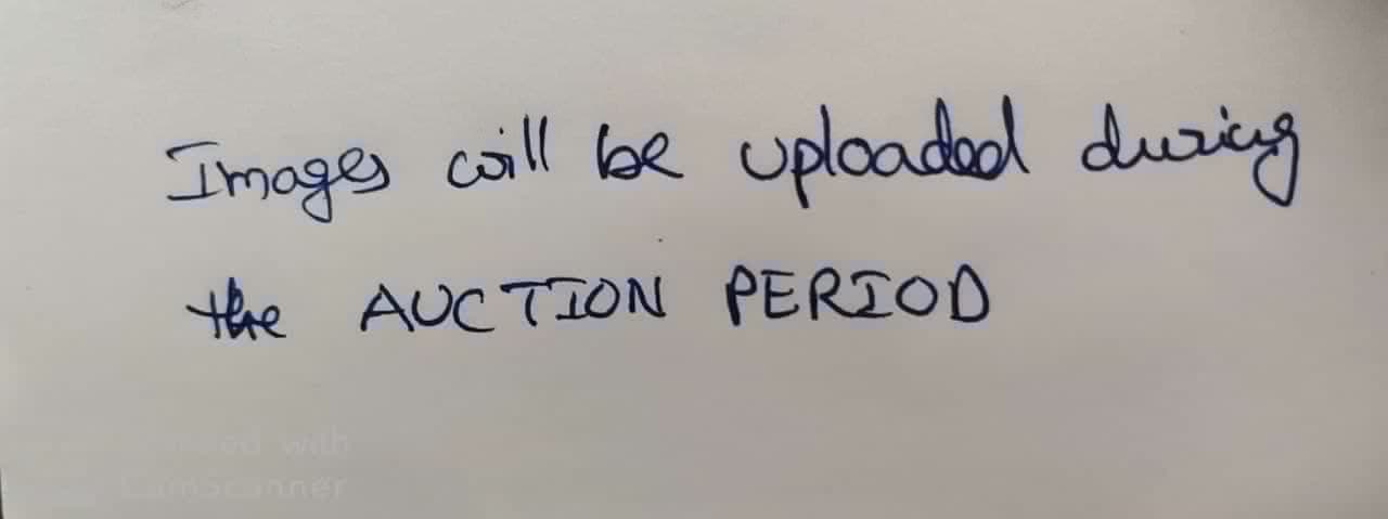 Punjab National Bank Auctions for Residential property in Prakasam, Andhra Pradesh