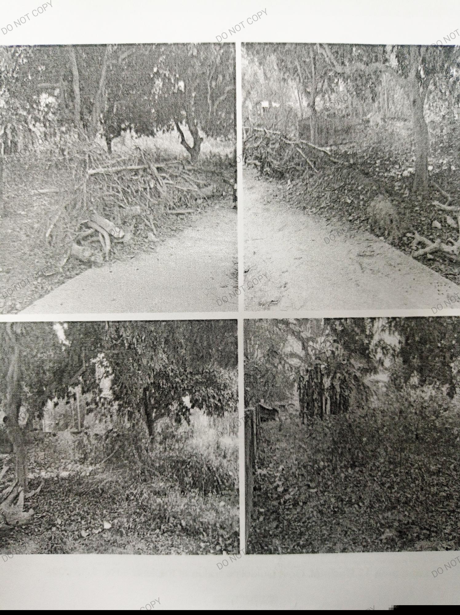 Punjab National Bank Auctions for Residential property in North Dinajpur, West Bengal