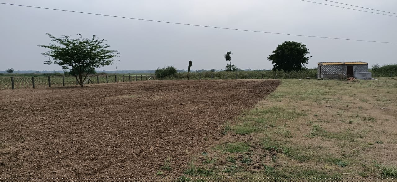 Punjab National Bank Auctions for Residential property in Guntur, Andhra Pradesh image 4 of 4 in SATTENAPALLI, Guntur | Punjab National Bank auction property