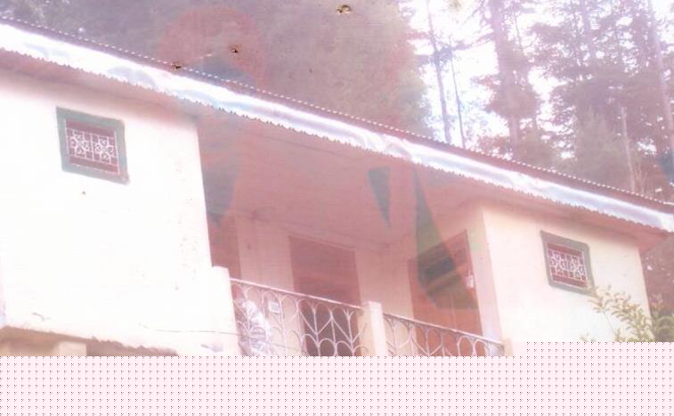 Punjab National Bank Auctions for Residential property in Shimla, Himachal Pradesh