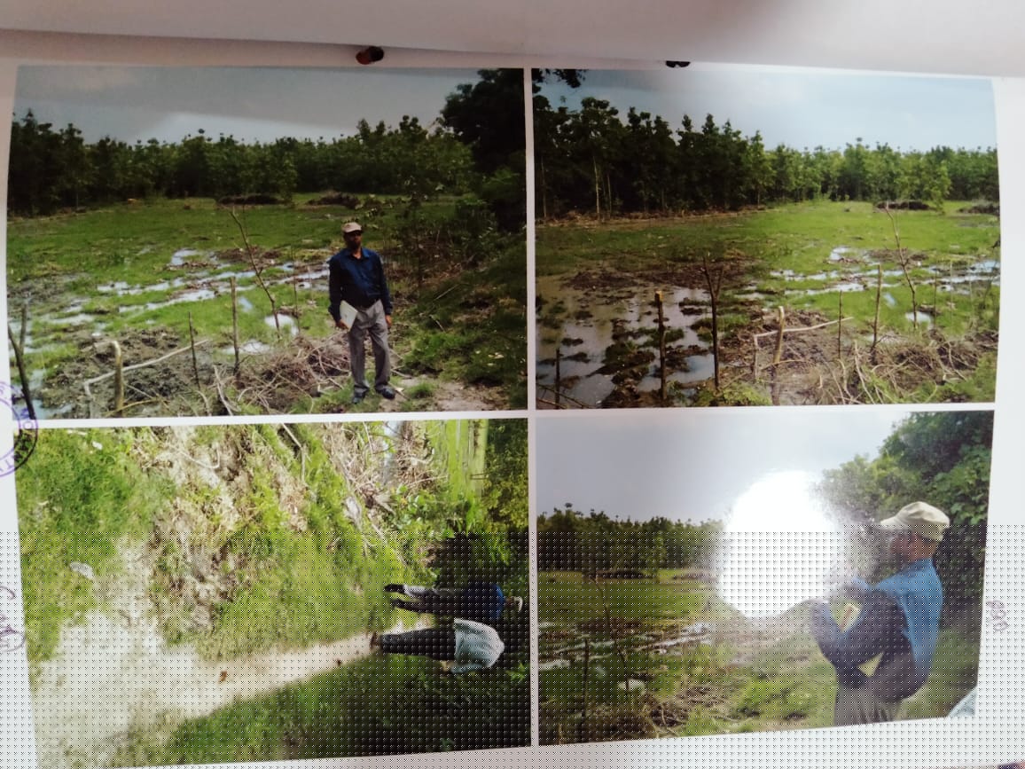 Punjab National Bank Auctions for Residential property in Balasore, Odisha