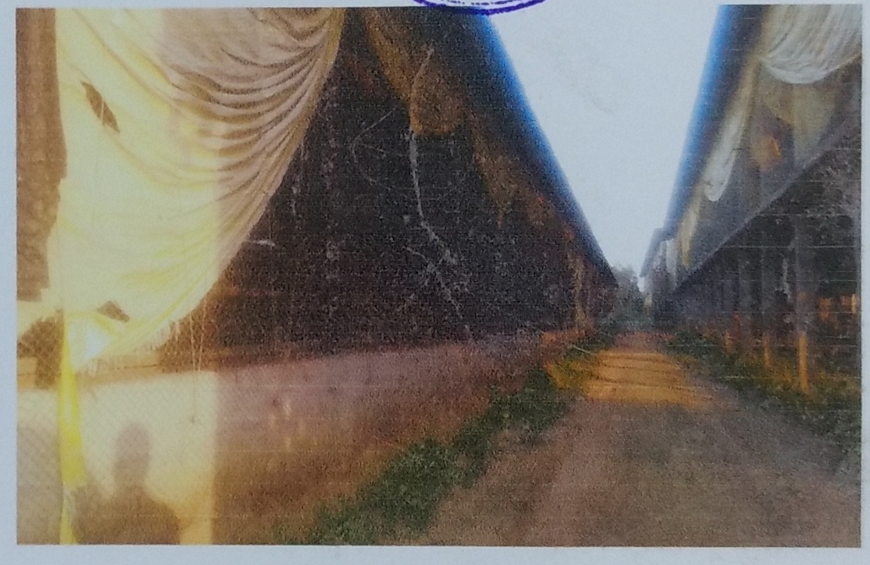 Bank of Baroda Auctions for Industrial property in Gorakhpur, Uttar Pradesh image 2 of 5 in 15 L DARIYA CHAK, Gorakhpur | Bank of Baroda auction property
