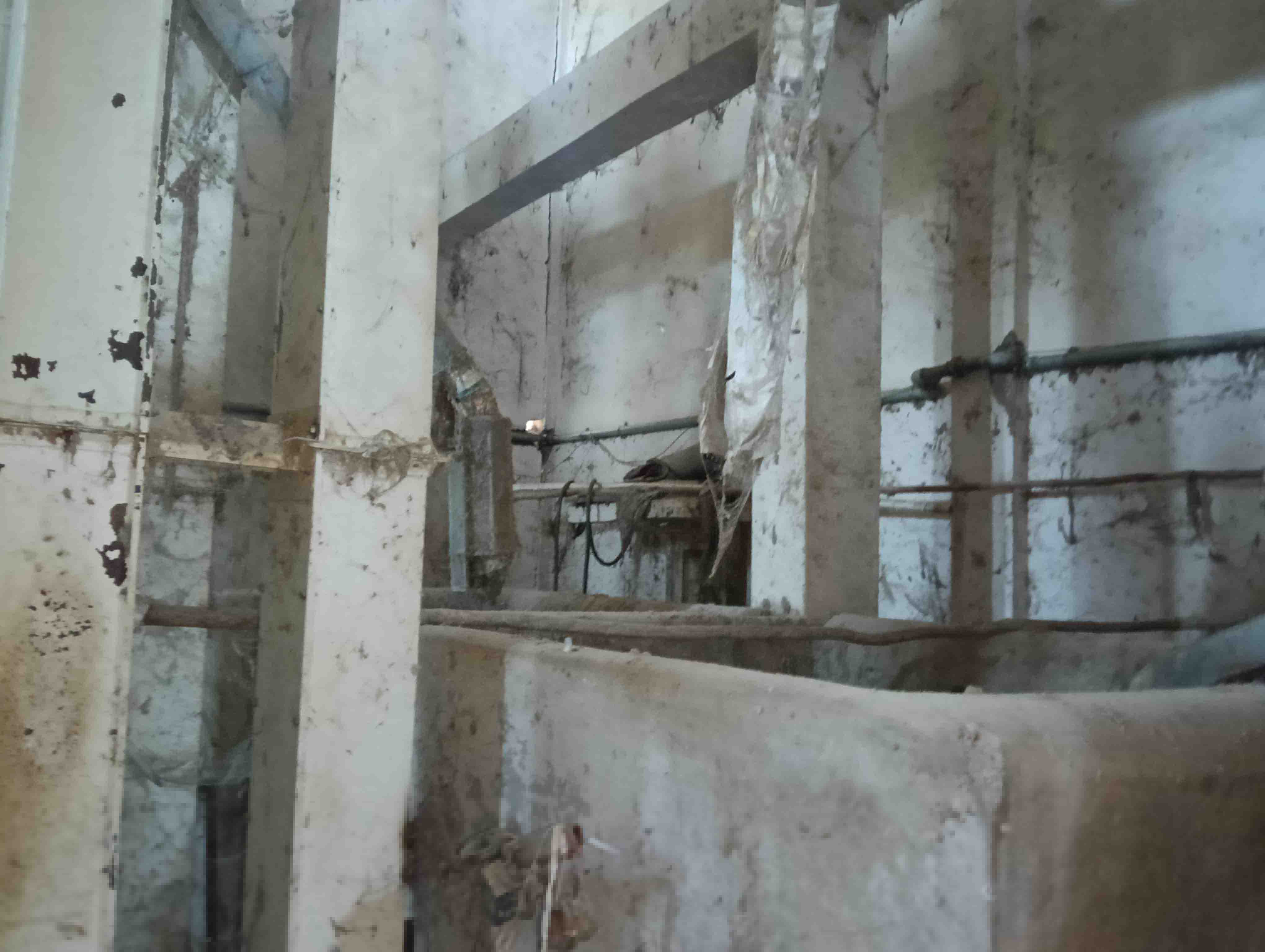 Bank of Baroda Auctions for Industrials property in Navsari, Gujarat image 24 of 32 in Chikhli, Navsari | Bank of Baroda auction property