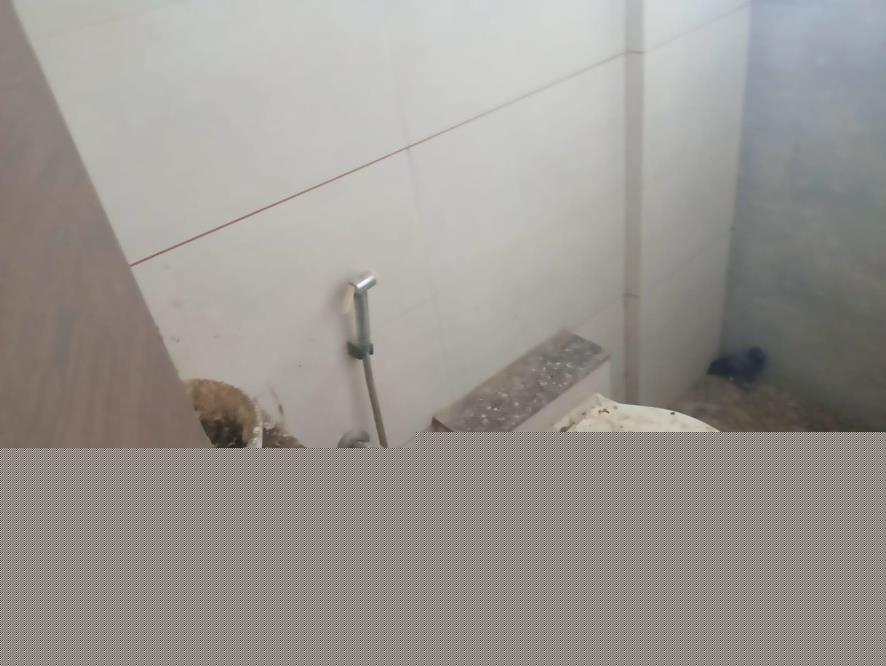 Central Bank of India Auctions for Residential property in Vadodara, Gujarat image 5 of 23 in Vadodara, Vadodara | Central Bank of India auction property