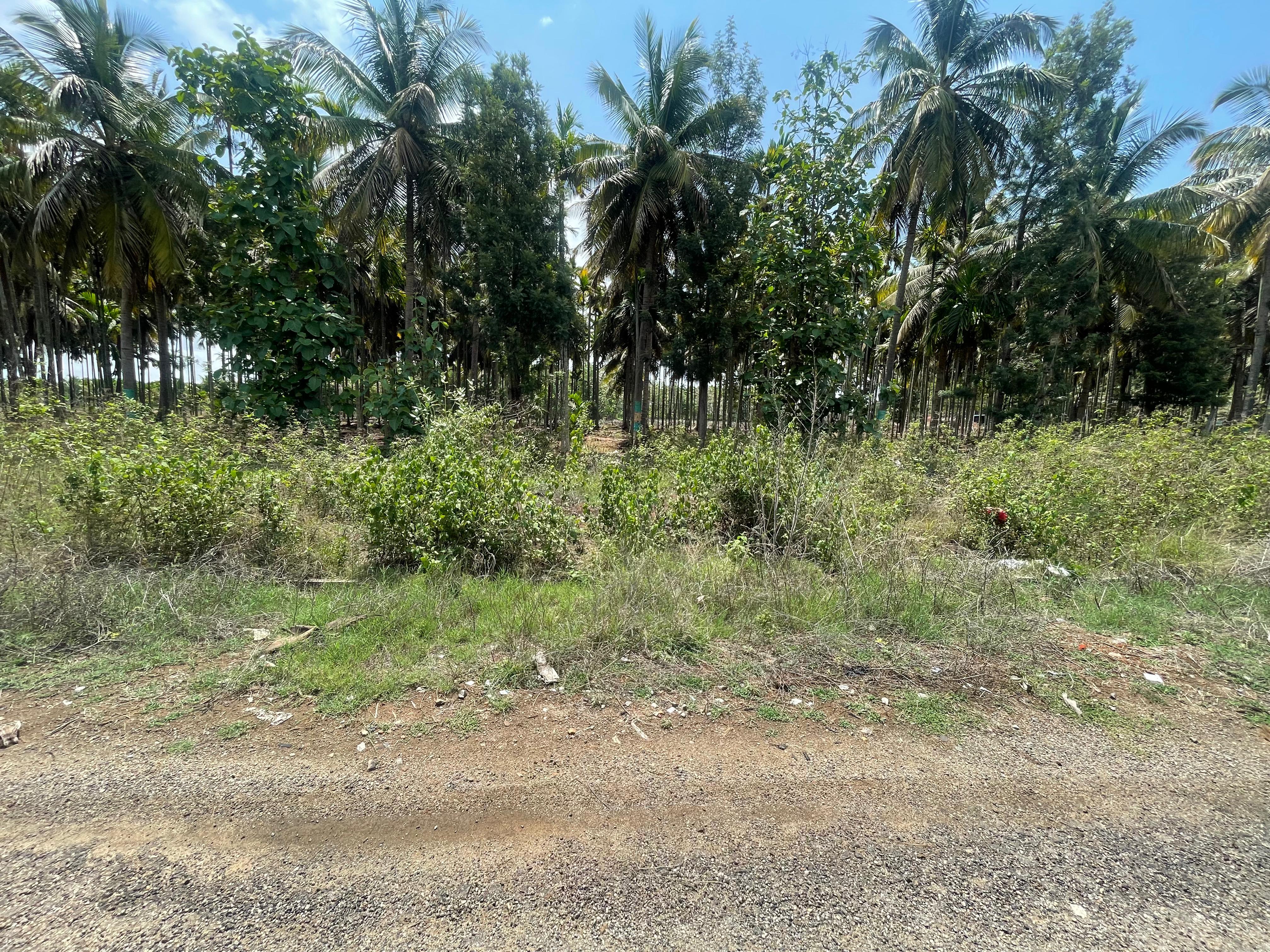 Bank of India Auctions for Residential property in Davanagere, Karnataka