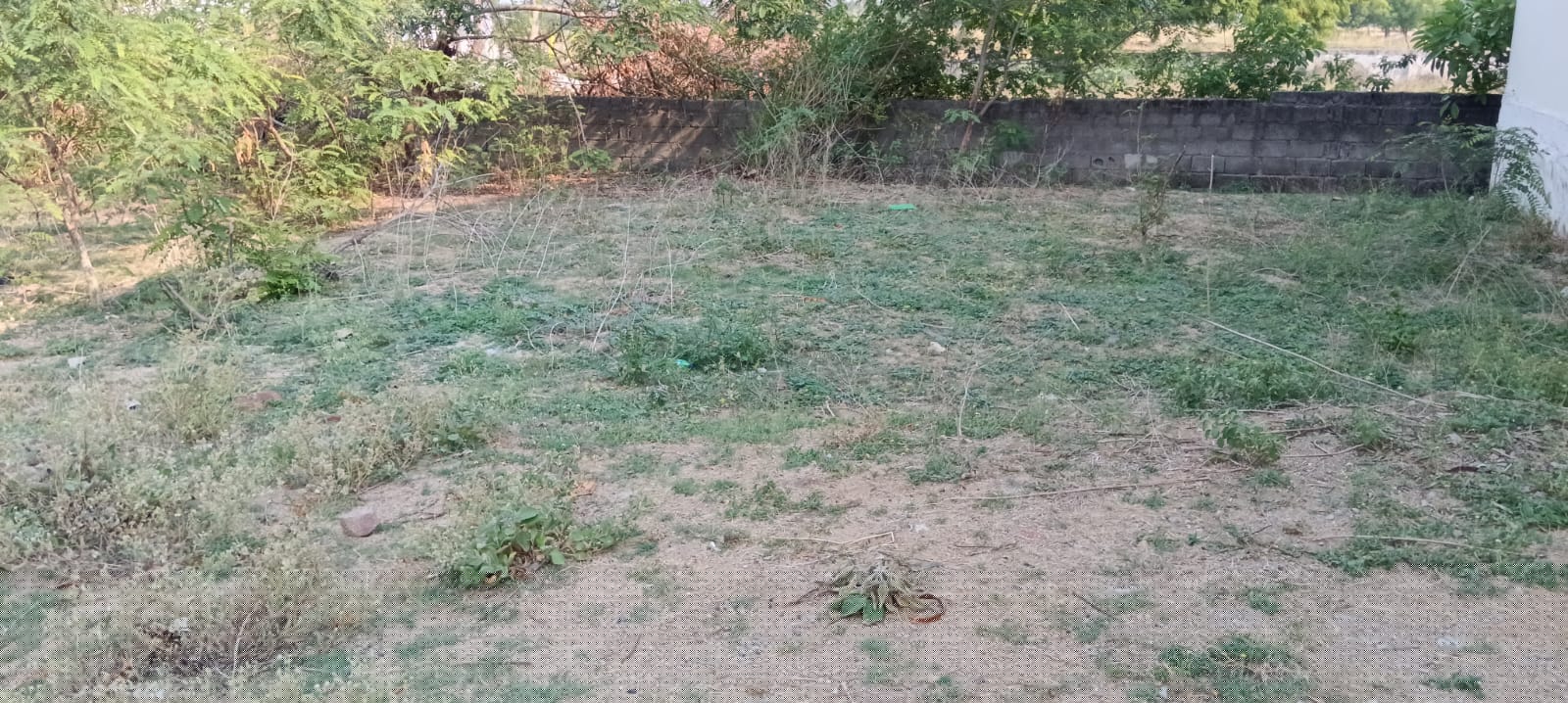 State Bank of India Auctions for Industrials property in Suryapet, Telangana image 16 of 20 in Kodad, Suryapet | State Bank of India auction property