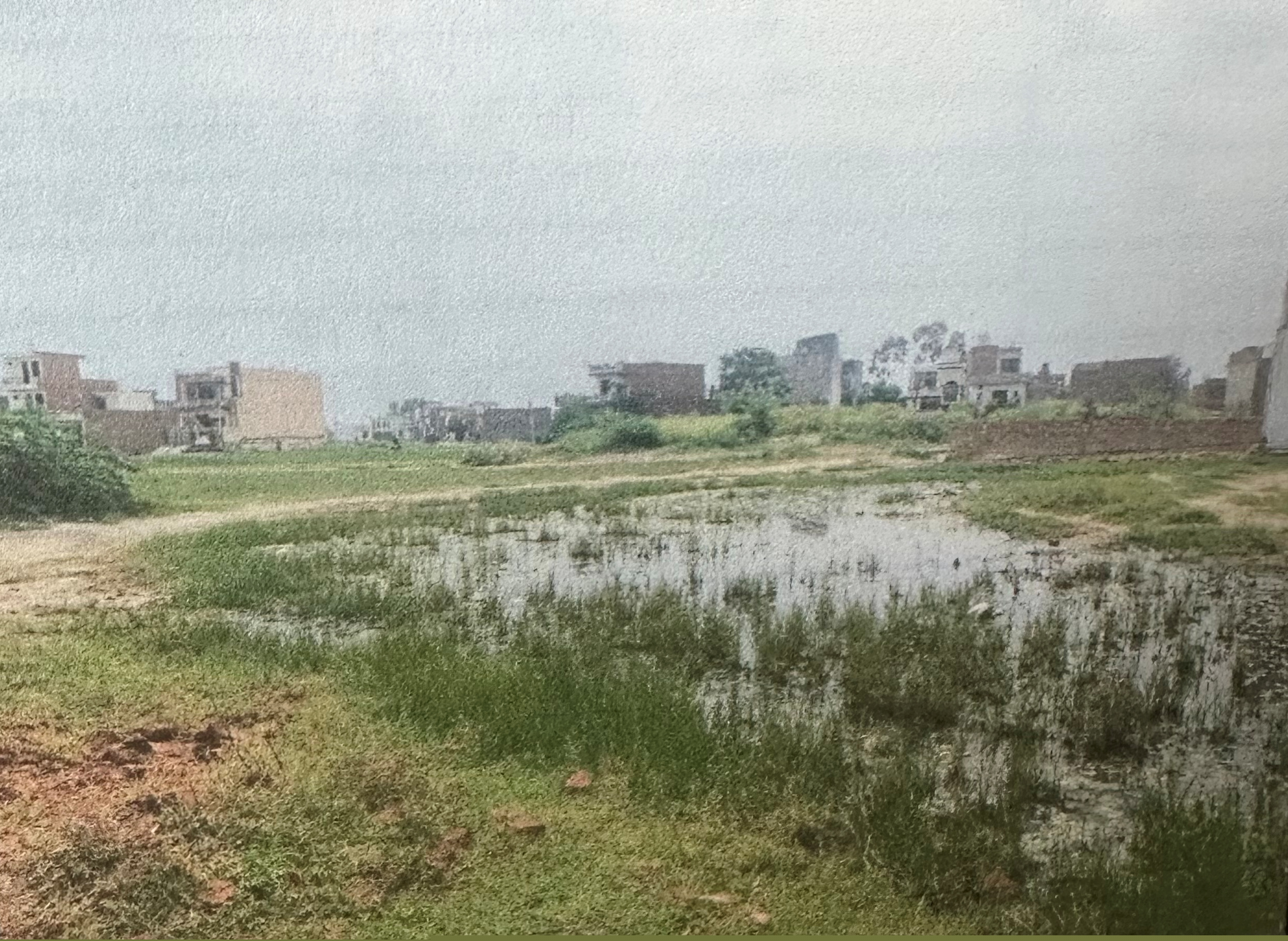 Punjab National Bank Auctions for Residential property in Ambala, Haryana