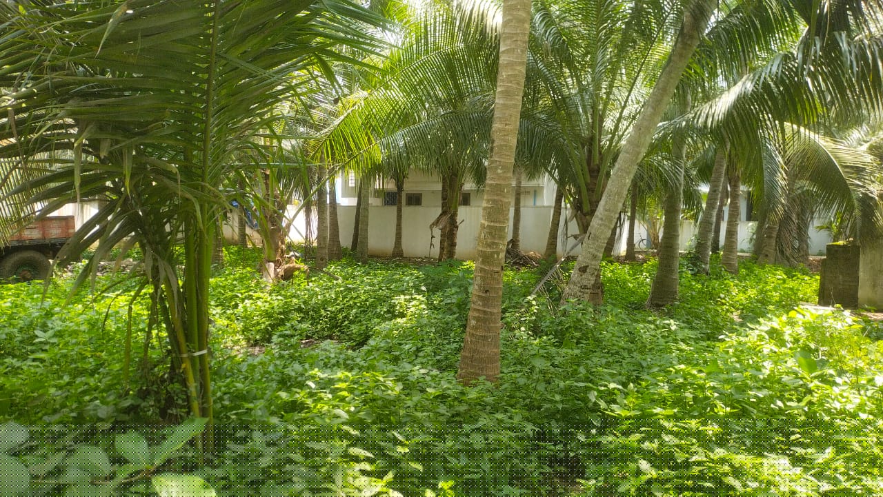 Bank of Baroda Auctions for Residential property in Konaseema, Andhra Pradesh
