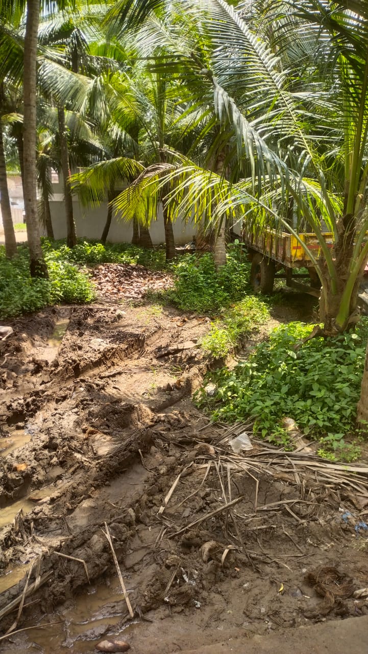 Bank of Baroda Auctions for Residential property in Konaseema, Andhra Pradesh image 3 of 4 in Thatipaka, Konaseema | Bank of Baroda auction property