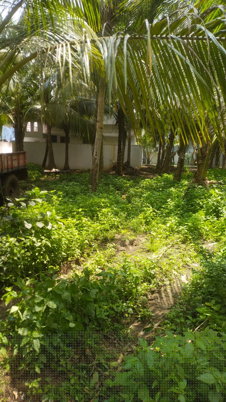 Bank of Baroda Auctions for Residential property in Konaseema, Andhra Pradesh image 4 of 4 in Thatipaka, Konaseema | Bank of Baroda auction property