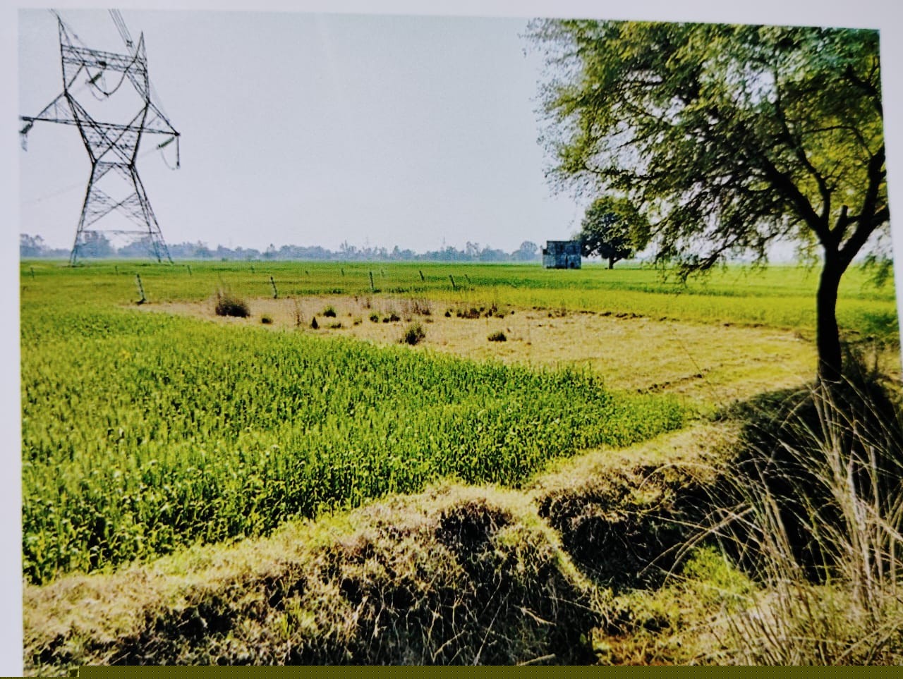 Bank of Baroda Auctions for Residential property in Fatehpur, Uttar Pradesh