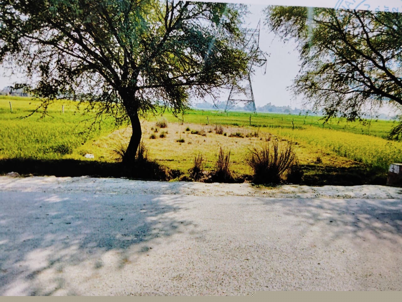 Bank of Baroda Auctions for Residential property in Fatehpur, Uttar Pradesh image 2 of 2 in Bindki, Fatehpur | Bank of Baroda auction property